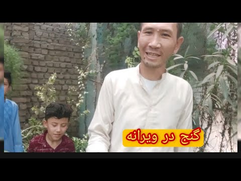 تصویری: دودکاتئون یک گیاه چند ساله زیبا برای باغ شما است