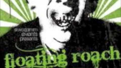 Good Bye Floating Roach