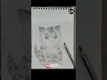 wait for result 😳 || cute cat drawing #cutecatshorts #shortvideo #art #cutecatdrawingeasy #drawing