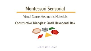 Montessori Sensorial 03-06 Constructive Triangles - Small Hexagonal Box - A