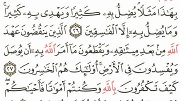الذين ينقضون عهد الله - سورة البقرة - بصوت محمد شودري