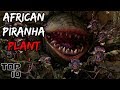 Top 10 Scary Plants That Actually Exist – Part 2 This video brought to you courtesy of MostAmazingTop10. Click the link below to watch now!