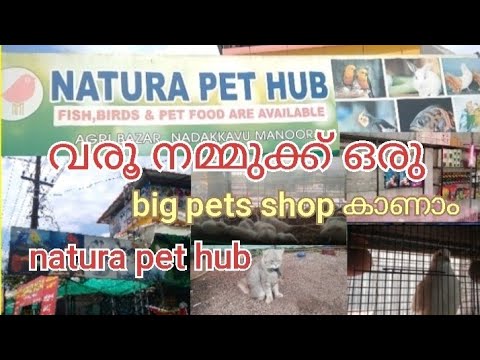 Video: Natura Pet Laajentaa Innovan Muistutusta