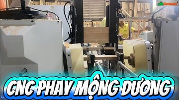 MÁY CNC PHAY MỘNG DƯƠNG 2 ĐẦU CẤP PHÔI TỰ ĐỘNG WM-D200T