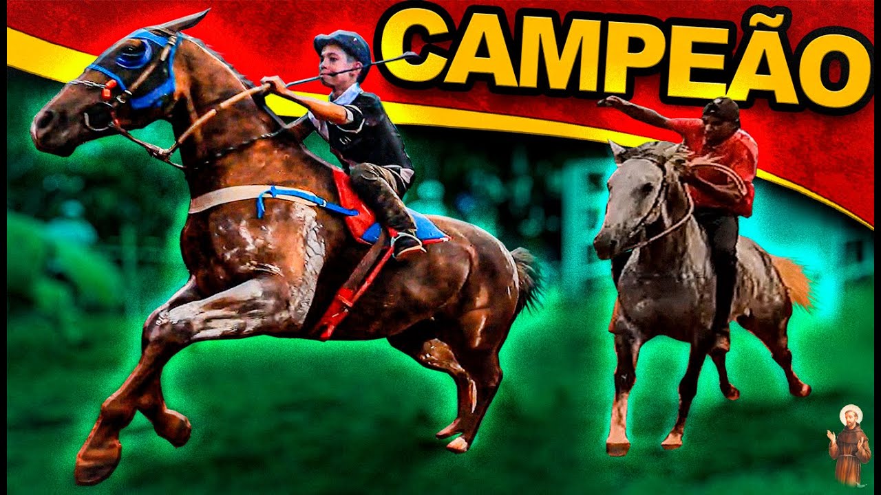 Ganhou a corrida de cavalo - Chicote na Boca -