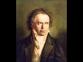 Beethoven  piano sonata in a major op 2 no 2  i allegro vivace