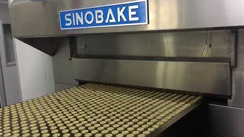 SINOBAKE Soft Biscuit Forming Rotary Moulder #tunnel oven #cooling