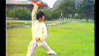 Wushu - Zhao Chang Jun - Quan Shu 2