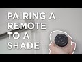How to Pair a Pebble Remote | Hunter Douglas Powerview Shade | A Shade Above