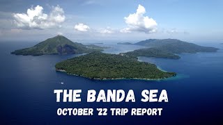 Diving the Banda Sea on the Samambaia in 2022 (4K)