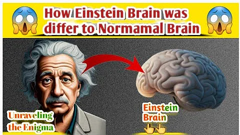 How Albert Einstein's  brain was different to other humans | Einstein's brain