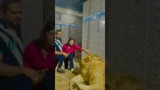 sher🦁 se panga not... 💯😡 #ytshorts #viral #trending #shortvideo #lion #tiger #officalvideo #shorts