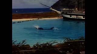 Hawaii Sea Life Park - 1969