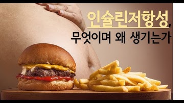 인슐린저항성이란 무엇이며 왜 생기는가