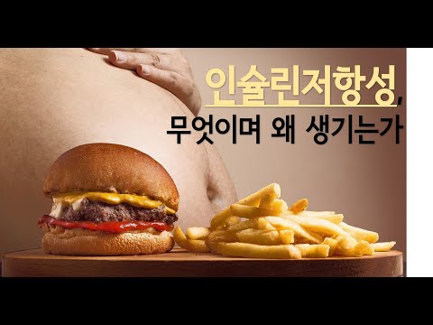 인슐린저항성이란 무엇이며 왜 생기는가