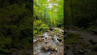 Whispers of the Brook | Flume Gorge, NH (Part-2) #nature #newhampshire #waterstream #usa #travel