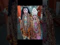 #new shiv parvati vivah