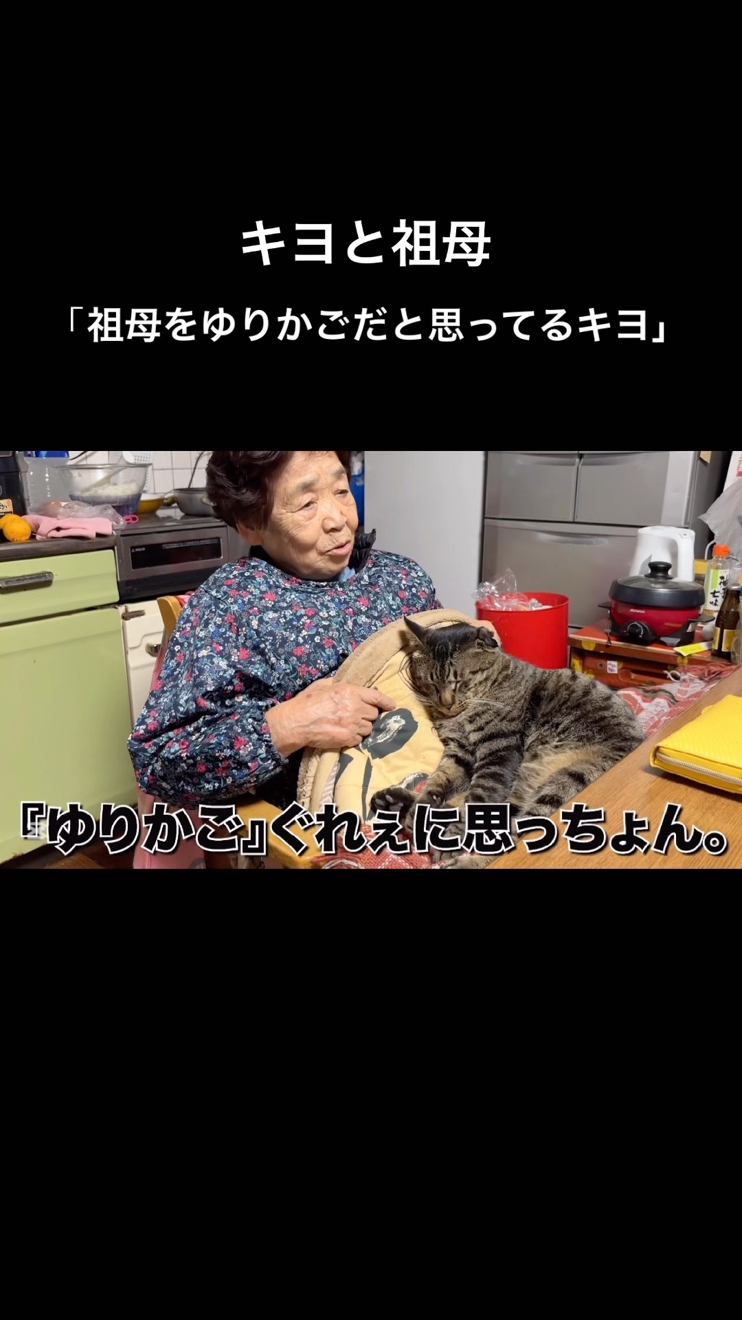 キヨと祖母(アラサーニートと4匹の猫) - YouTube