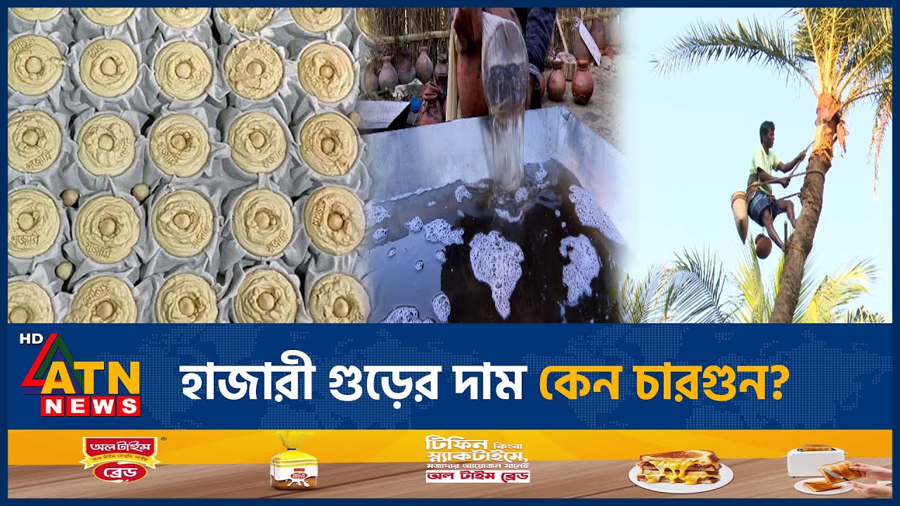 মানিকগঞ্জের ঐতিহ্যবাহী হাজারী গুড় | Hajari Gur | Manikganj | ATN News