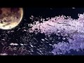 (Vietsub + 中文 + Kara) 霞桜 - Kasumi sakura - M&agrave;n sương anh đ&agrave;o - 樱花霜 - RYTHEM