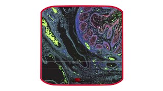 How to scan multiple positions and larger samples