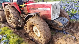 Başak Ve Case Tarladan Lahana Çikartiyor