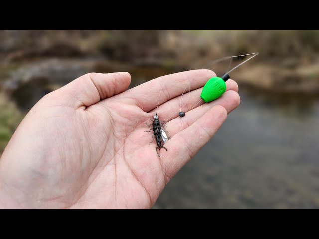 TROUT FISHING WITH A SPLIT SHOT & FLOAT