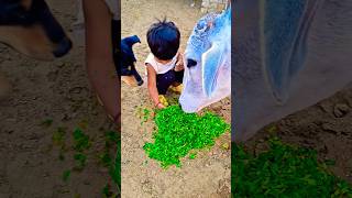 क्युट❤️ गौरी🙏#babycow #shortsfeed #calf #shortvideo #cow #ytshorts #cowvideos #shorts #cowvideo #cut