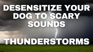 Dog Desensitization Sounds for Dogs & Puppies: Thunder