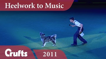 Heelwork to Music - International Freestyle Winner 2011 | Crufts Crufts