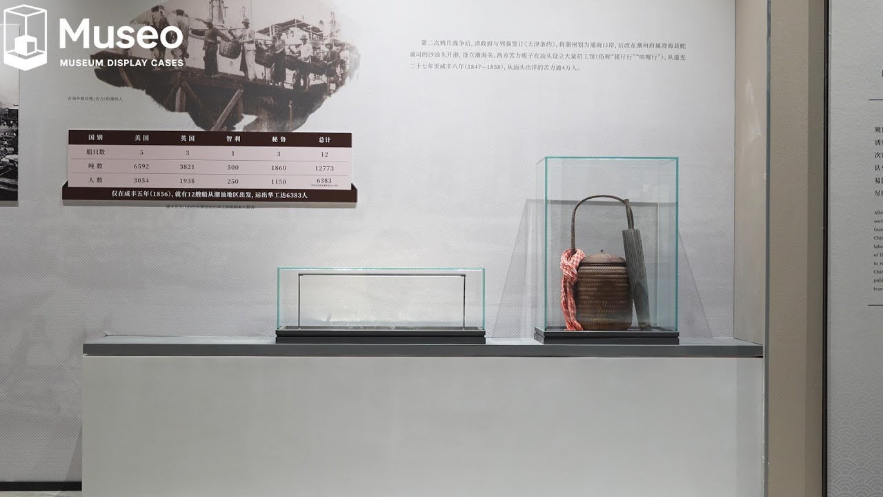 🏛️ Museum curators & exhibit designers—your perfect display solution is ...