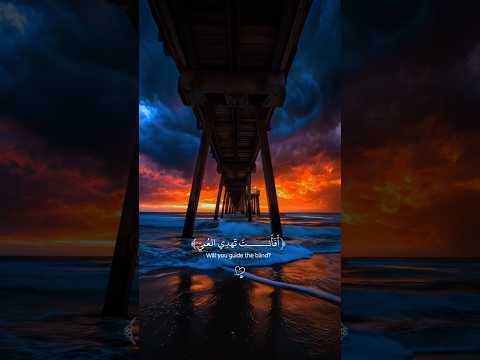 أفأنت تهدي العمي ولو كانوا لا يبصرون عبد الرحمن مسعد استخدموا الصوت