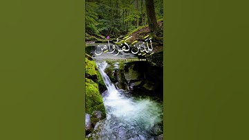 القارئ محمد الفقيه | قرآن كريم بصوت جميل