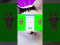 猫の鳴き声で猫ミーム演奏してみた（ショートバージョン） #shorts