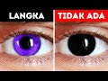 Tidak Ada Manusia yang Terlahir dengan Mata Hitam. Inilah Alasannya