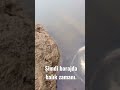 Şimdi barajda balık zamanı...