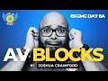 DAY 6: PART 12/19 AV BLOCKS