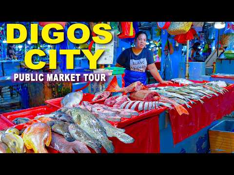 Davao Del Sur Provincial Government Report