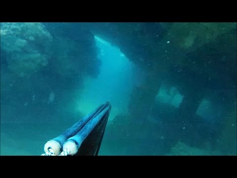 Video: Le Migliori Immersioni Subacquee A Cozumel, In Messico, Tra Cui Derive, Muri E Relitti