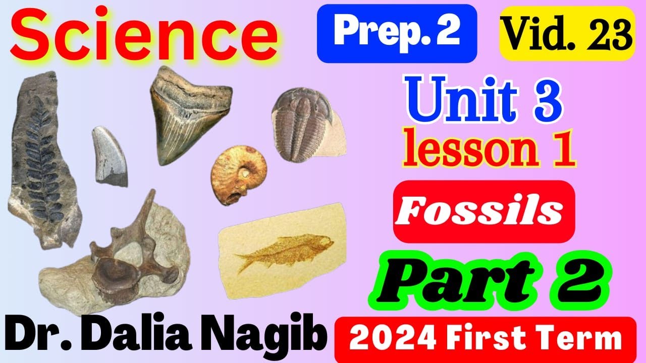 Science Prep 2 Unit 3 lesson 1 Fossils Part 2 2024 ساينس تانية اعدادي ...