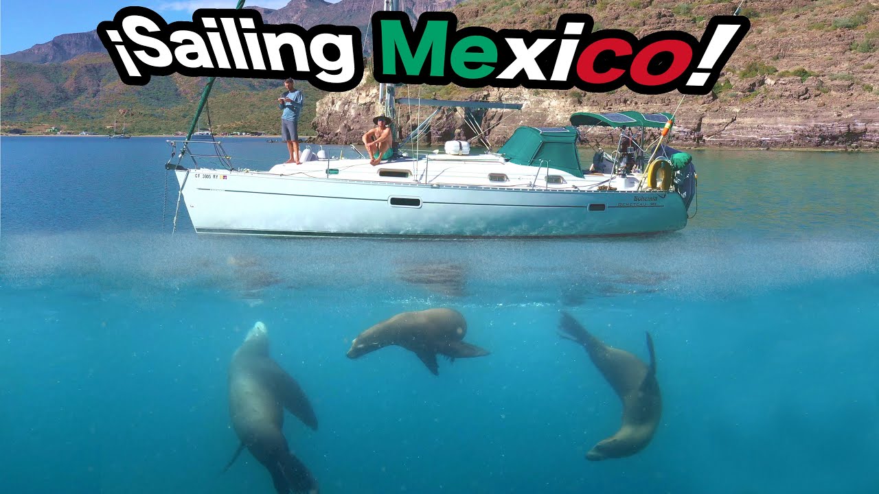 CRUISING MEXICO BY SAILBOAT: Swimming with wild sea lions! Ep.14