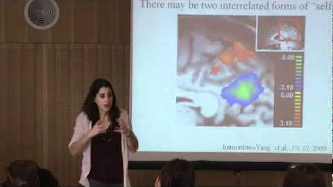 The Neuroscience of Social Emotion & it's Importance to Learning. Part 4.