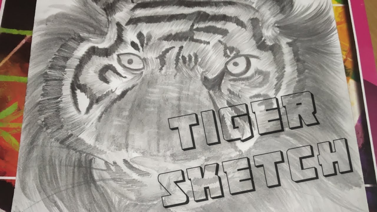 National Animal Tiger |Sketch - YouTube