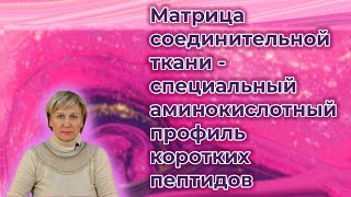 Матрица соединительной ткани - специальный аминокислотный профиль коротких пептидов