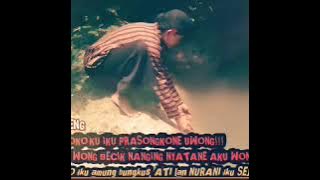 pitutur jowo || ojo mung nyawang rogo