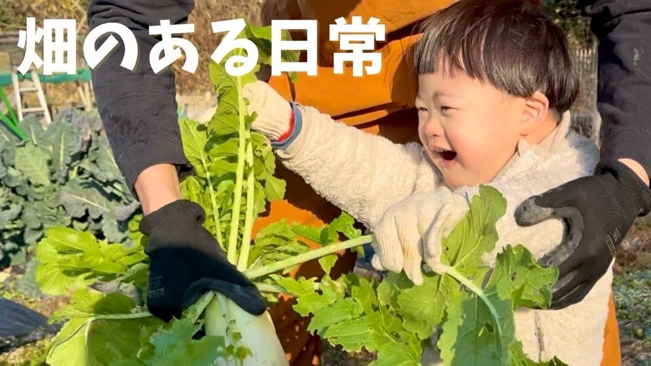 冬野菜1年目！子ども達を連れて畑に行ってきた｜畑の日常