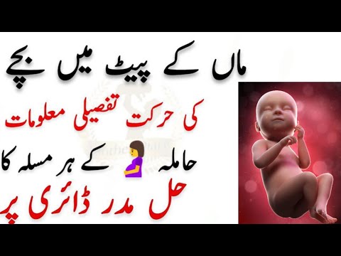 Baby Movement In Pregnancy l What Does Baby Movement Feel Like l   ماں کے پیٹ میں بچے کی حرکت
