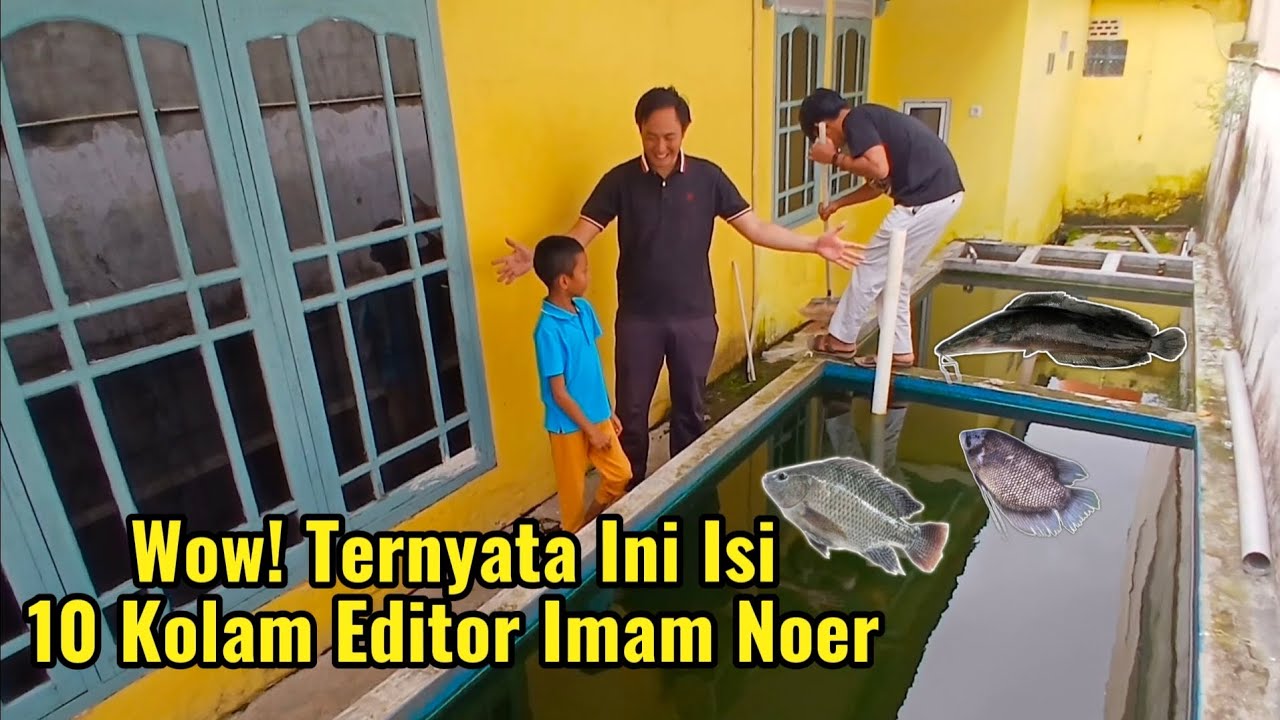 Wow! Ternyata Ini Isi 10 Kolam Editor Imam Noer