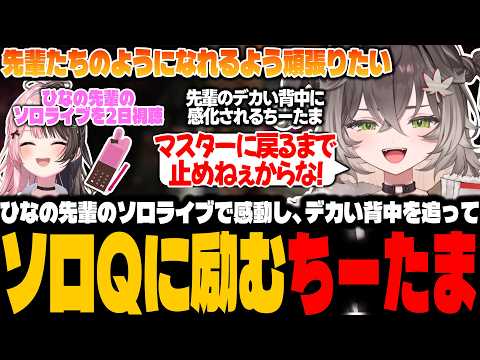 【ソロQ】先輩のデカい背中を追ってソロQに励むちーたま【龍巻ちせ/ぶいすぽっ！】