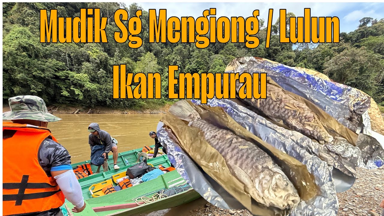 Part 2/3: Reece ke Sg Mengiong, Baleh. Penatai Disambut Lulun Ikan Empurau & Semah.